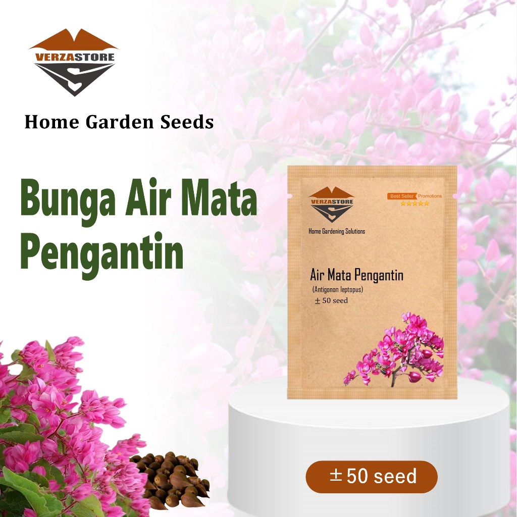 50 Biji - Benih Bunga Air Mata Pengantin