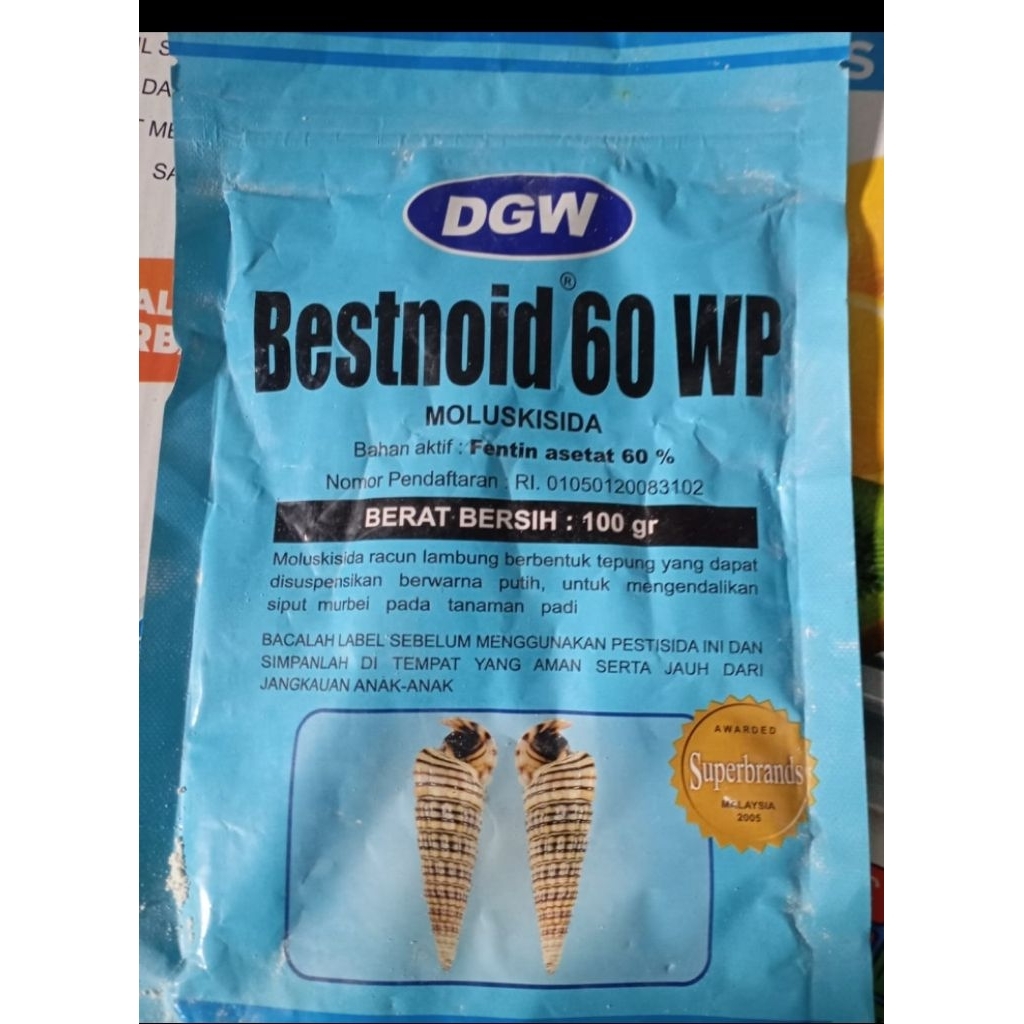 bestnoid 60wp 100gr