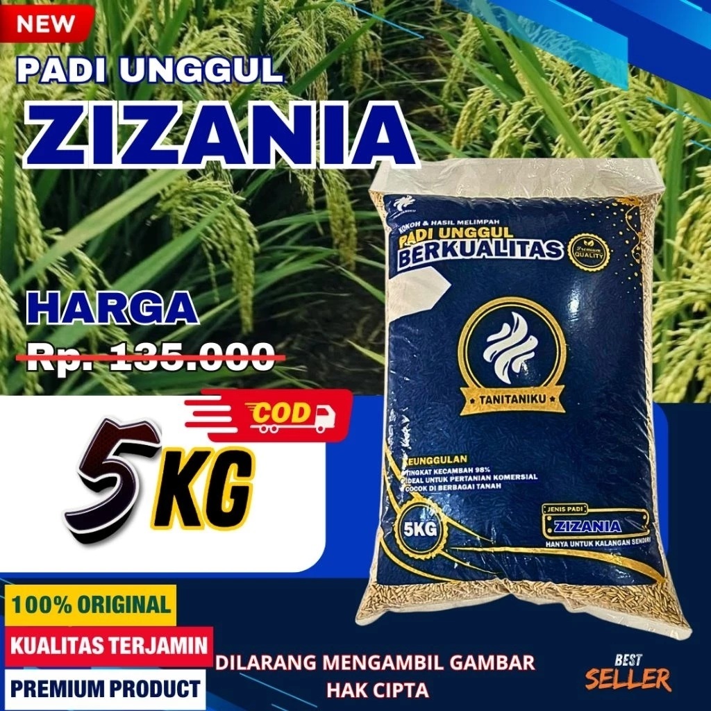 BENIH PADI ZIZANIA KEMASAN 5KG