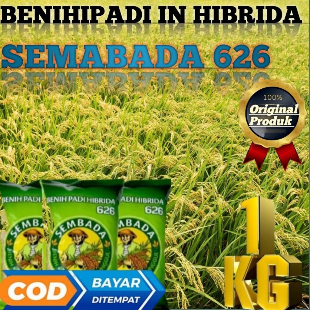 BENIH PADI SEMBADA 626 1KG