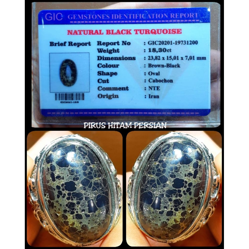 pirus hitam ngerikilan asli Persia iran full porslen