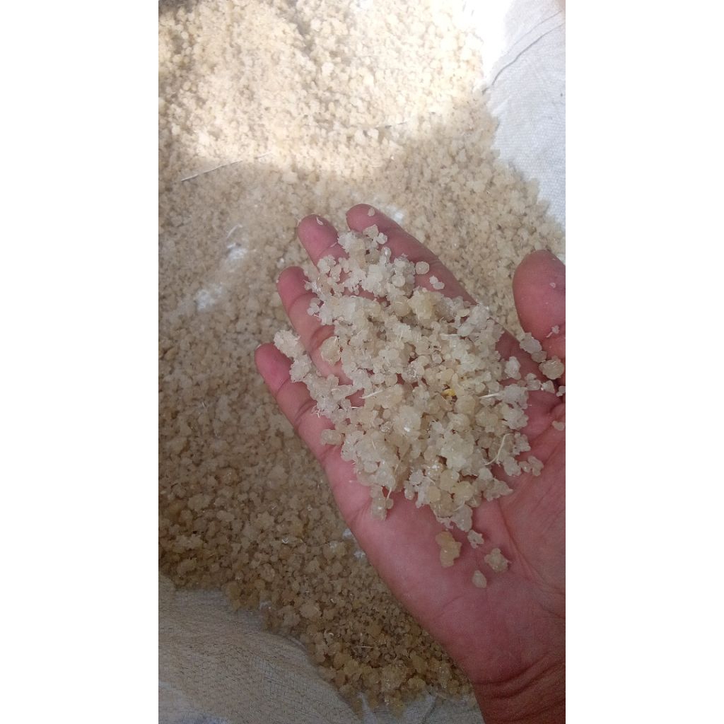 oyek singkong beras oyek