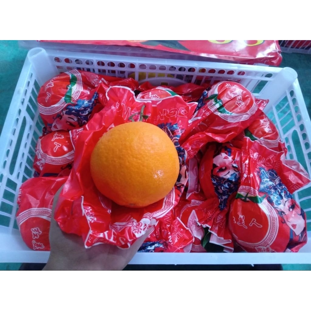 jeruk aiyuan 1 dus isi 6.5kg / jeruk Mandarin aiyuan 1 keranjang 6.5kg