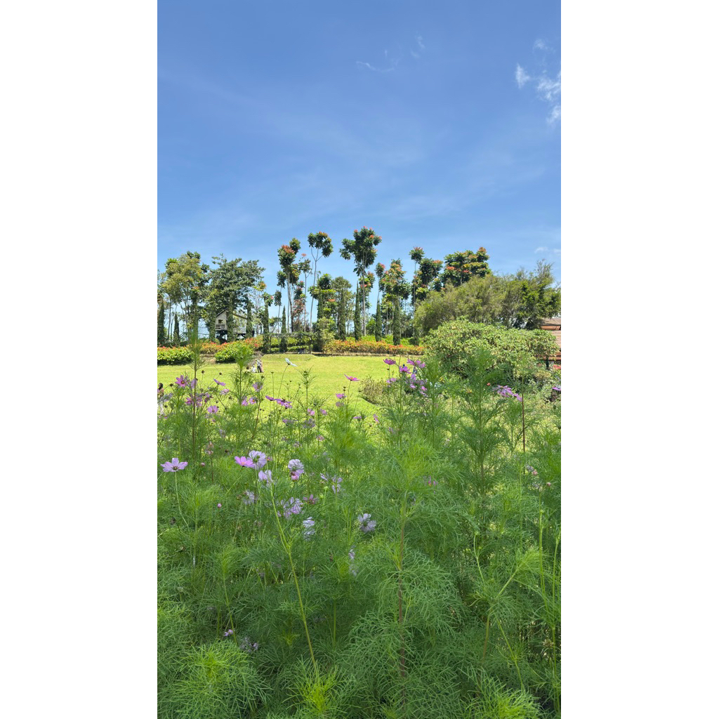 thermal brush glam curl