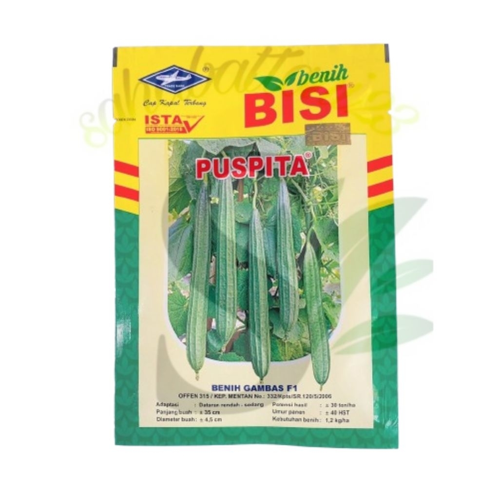 Benih Oyong/Gambas PUSPITA  isi 10 gram (Cap Kapal Terbang)
