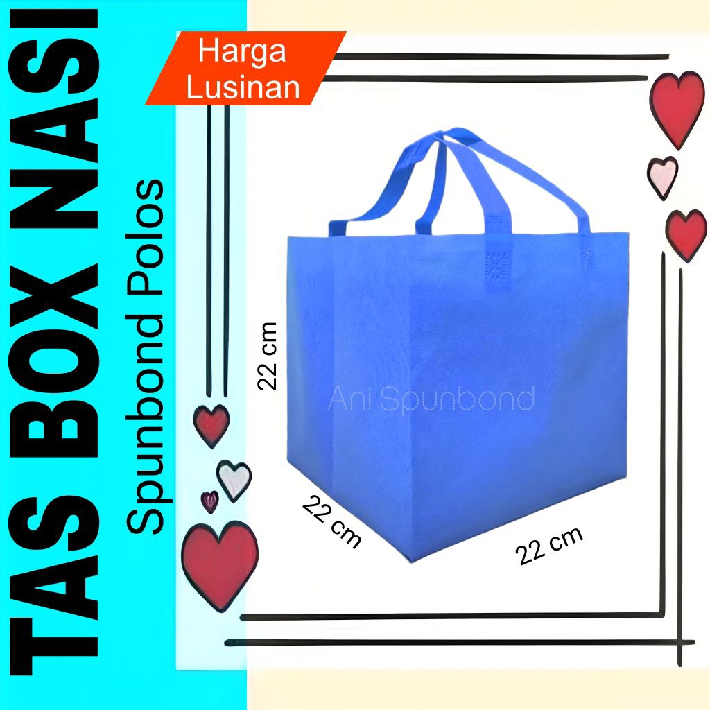 Tas Spunbond Box Dus Tas Goodiebag Kotak Nasi Ukuran 22x22 Murah