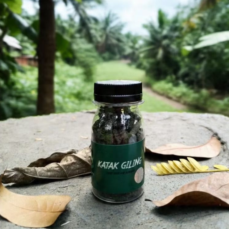 Pelet Katak Giling by RKFish Aquatic Katak Kodok Sawah Pakan Auranti