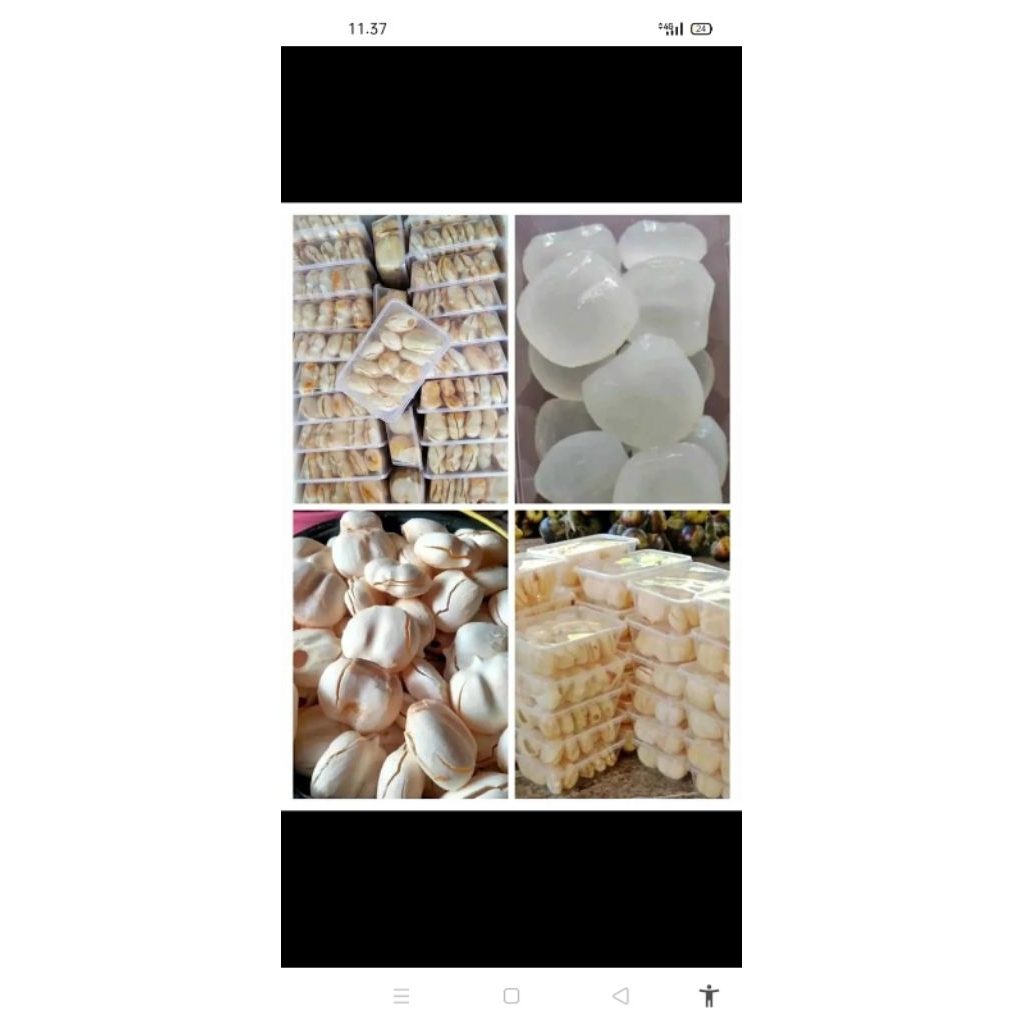 buah Lontar /siwalan