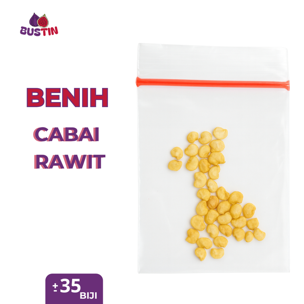 Benih Cabai Rawit Unggul Biji Tanaman Tumbuh Subur Cocok Segala Media Tanam