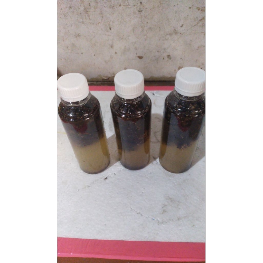 bibit jamur jakaba super.9000.250g