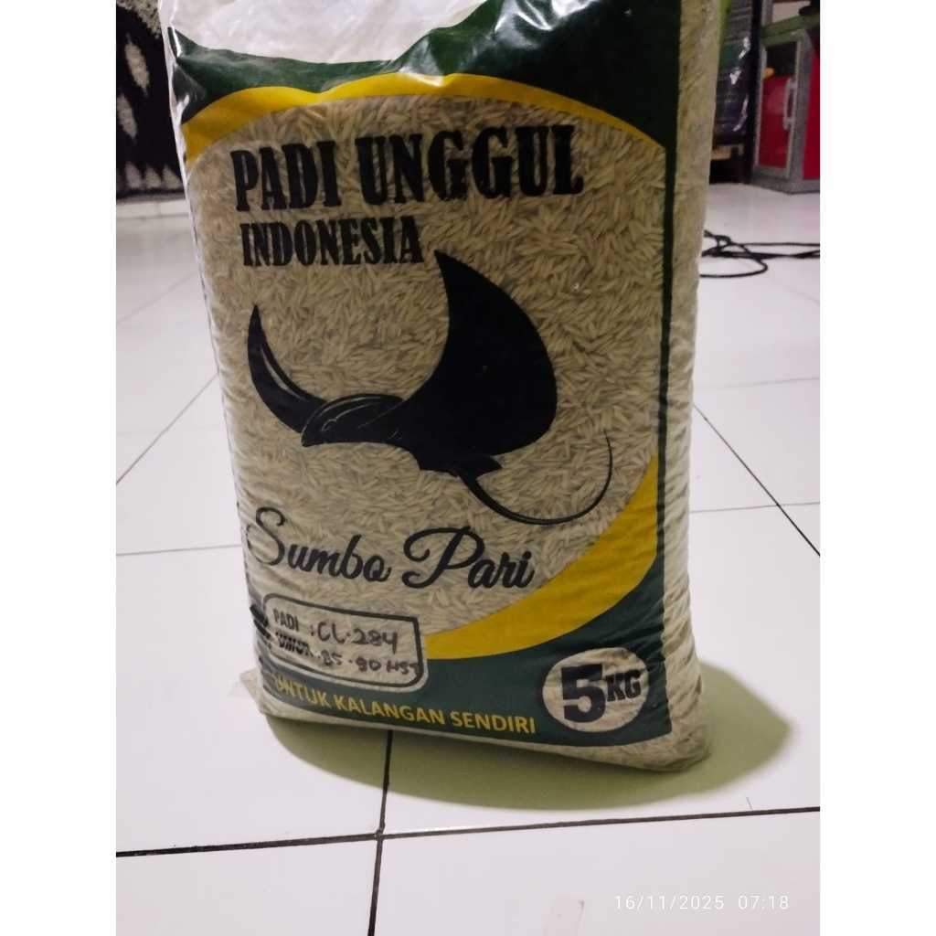 Padi Cl284 CL 284 UMUR 85 hst Ori