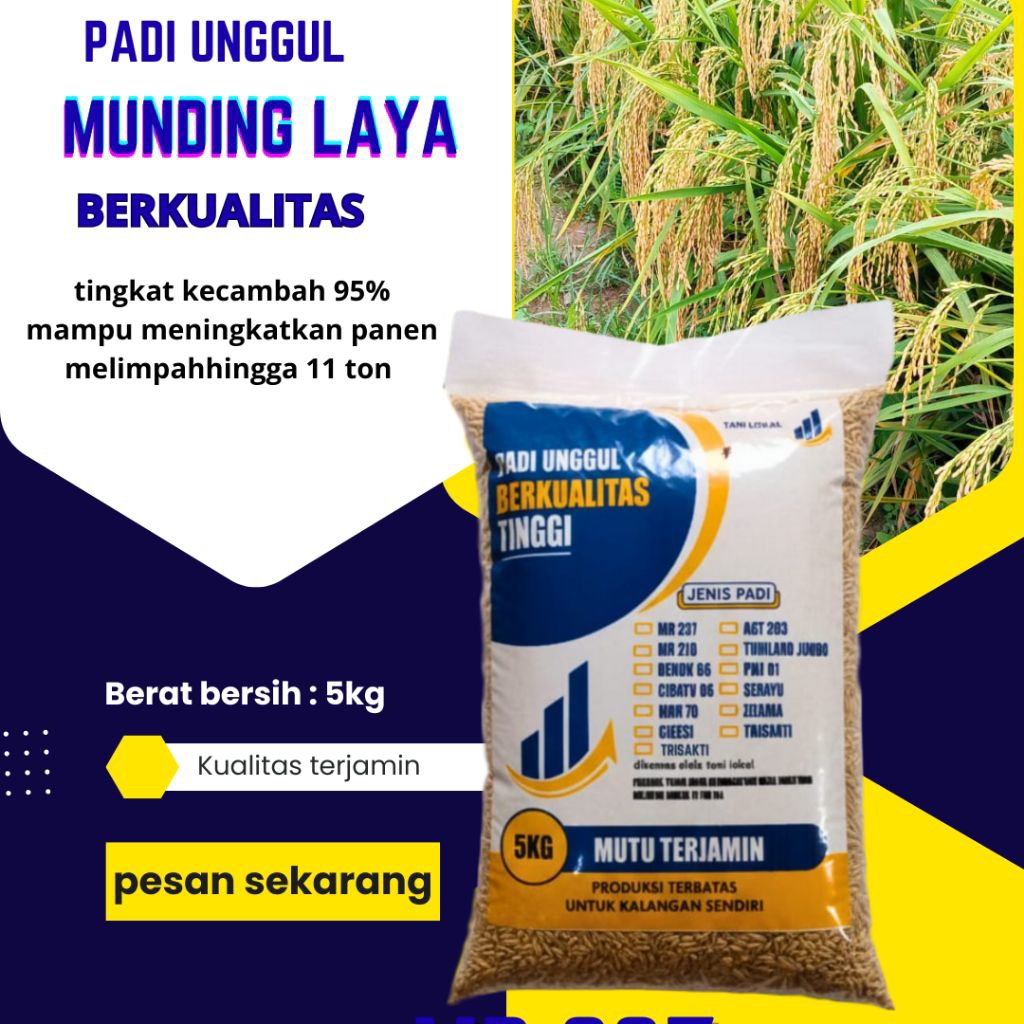 Benih Padi Unggul Munding laya  Kemasan 5Kg