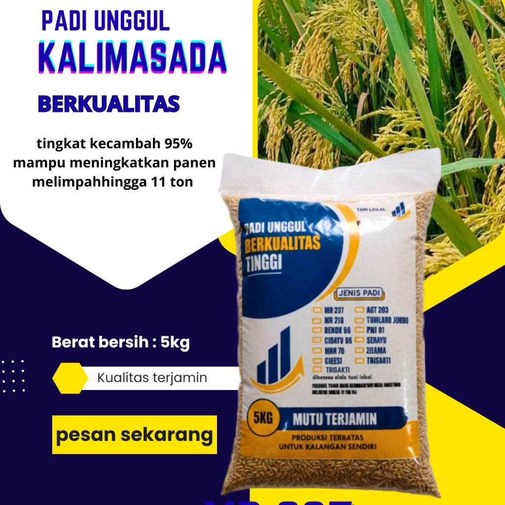 benih padi bibit padi kalimasa, cibobot, kalimasada original kemasan 5kg