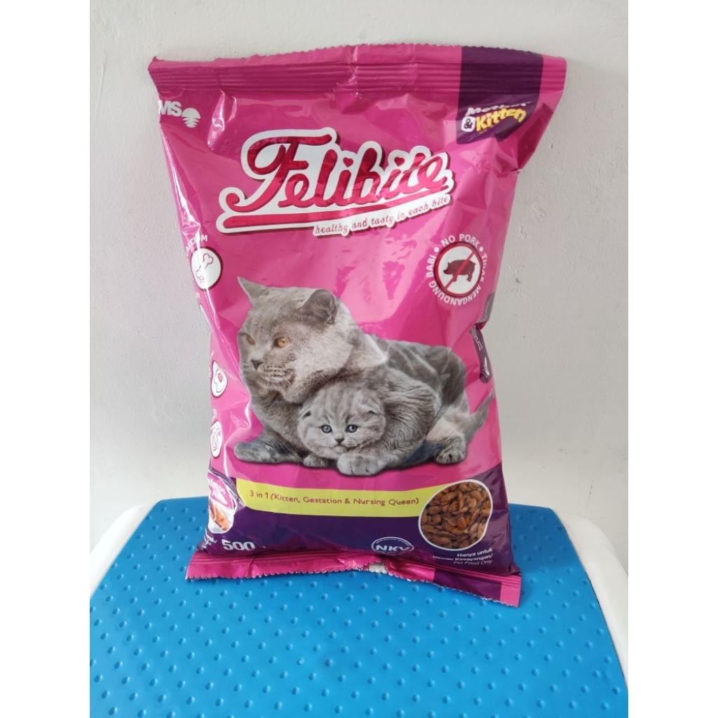 Felibite mother kitten