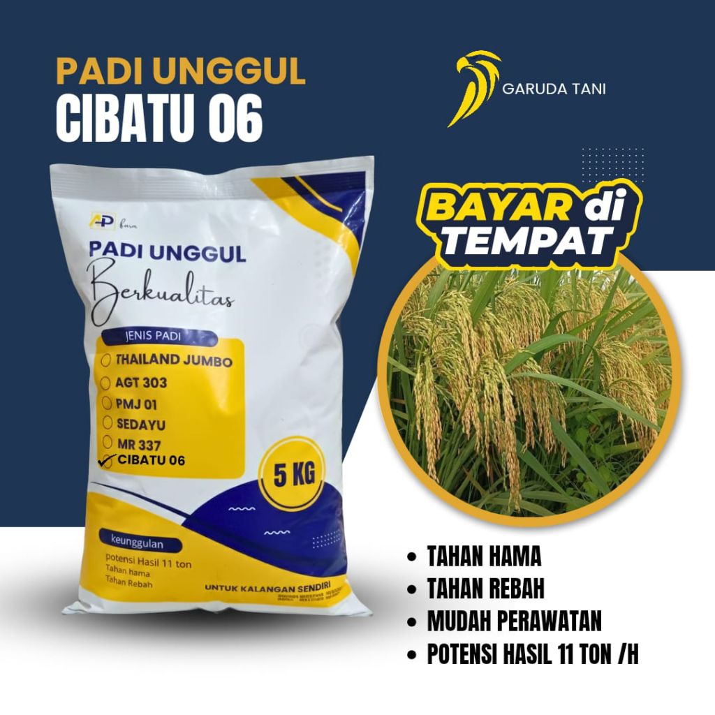 bibit padi Cibatu 06 benih padi Cibatu 06 kemasan 5kg original