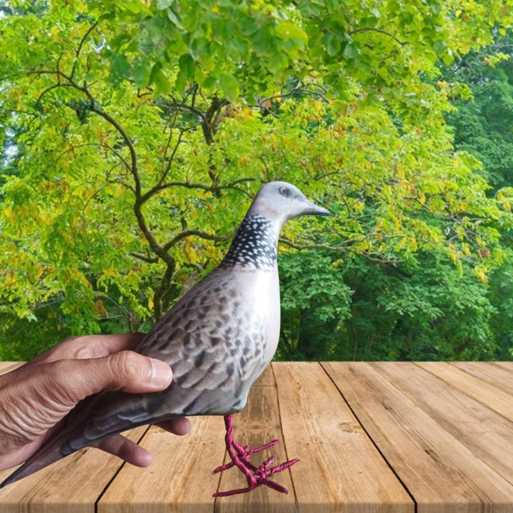 JONTROT MAINAN BURUNG TEKUKUR DERUK MIRIP ASLI TAHAN PENYOK AMPUH PIKAT BURUNG TEKUKUR