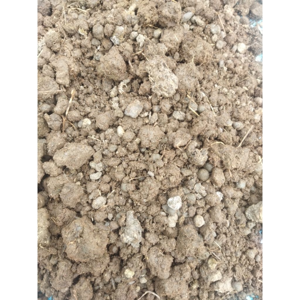 Kohe/kotoran kambing  murni Fermentasi 1kg