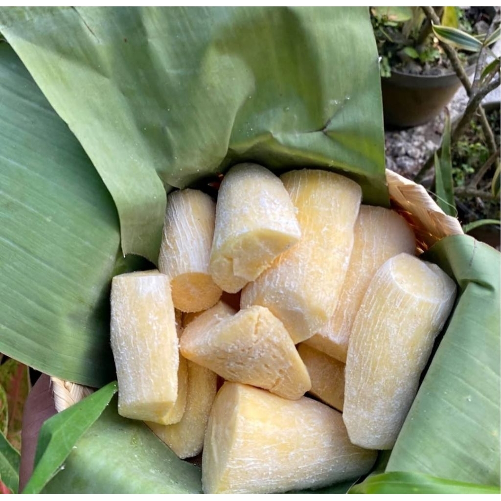 tape singkong mentega 1 kg khas gembong pati kemasan besek