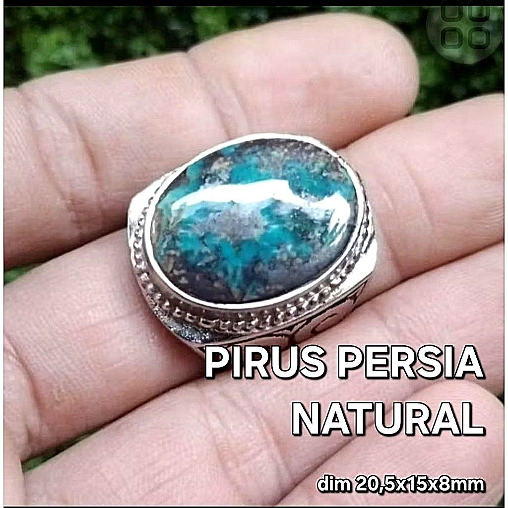 NATURAL PIRUS PERSIA JUMBO