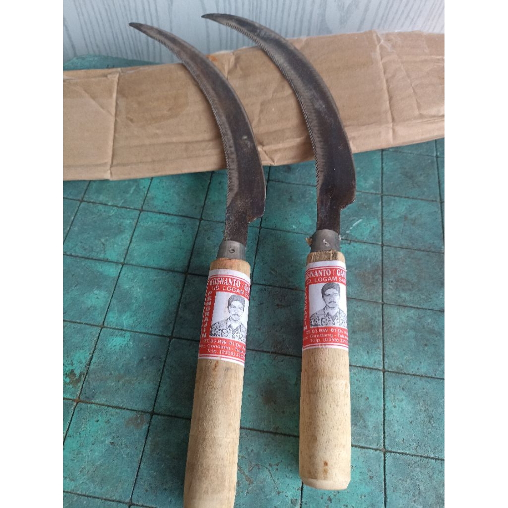 Sabit / Arit untuk panen padi atau rumput sapi. Mungil superntajam