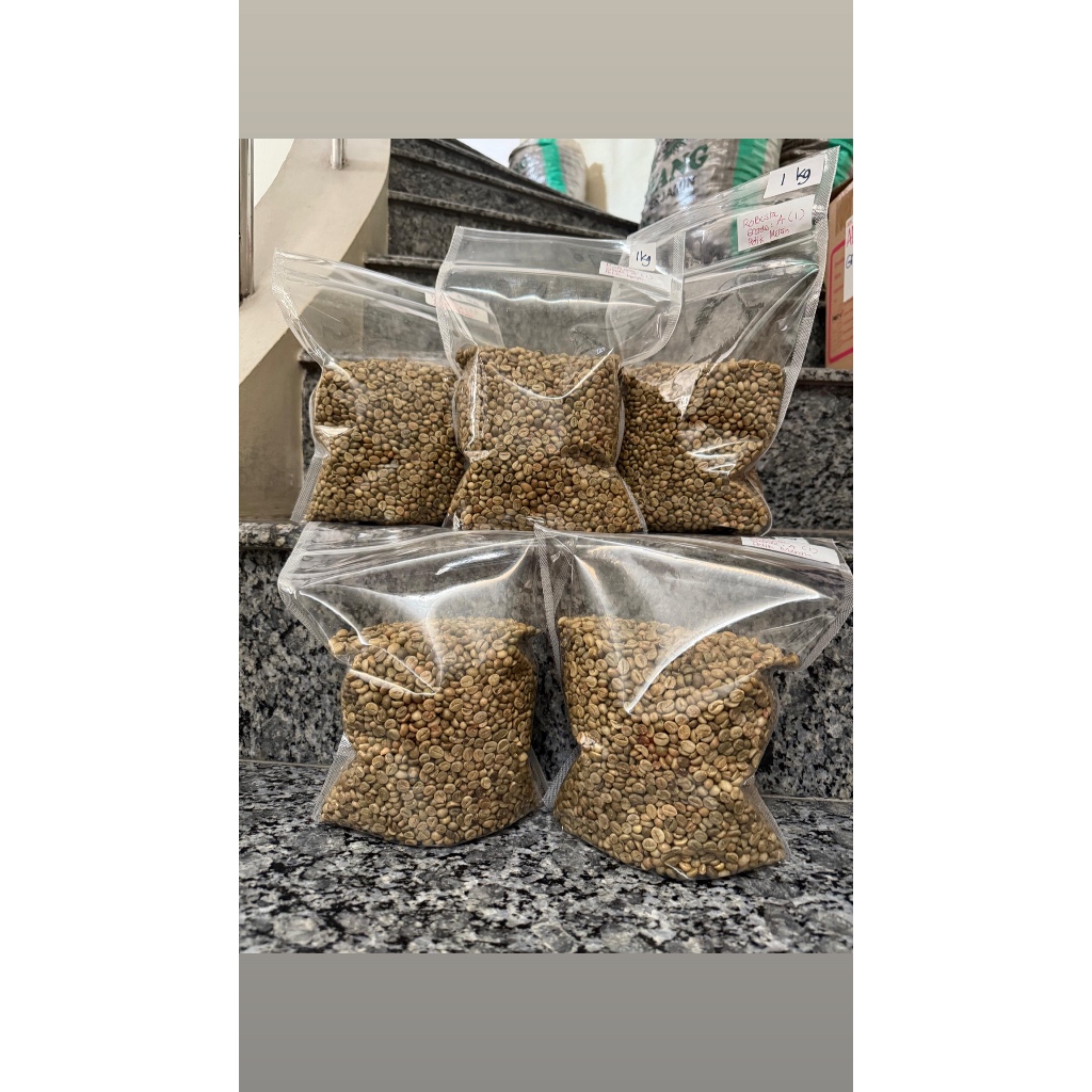 BIJI KOPI ROBUSTA PETIK MERAH GRADE A KUALITAS EKSPOR | KOPI ROBUSTA IJEN | BIJI KOPI IJEN TERBAIK D