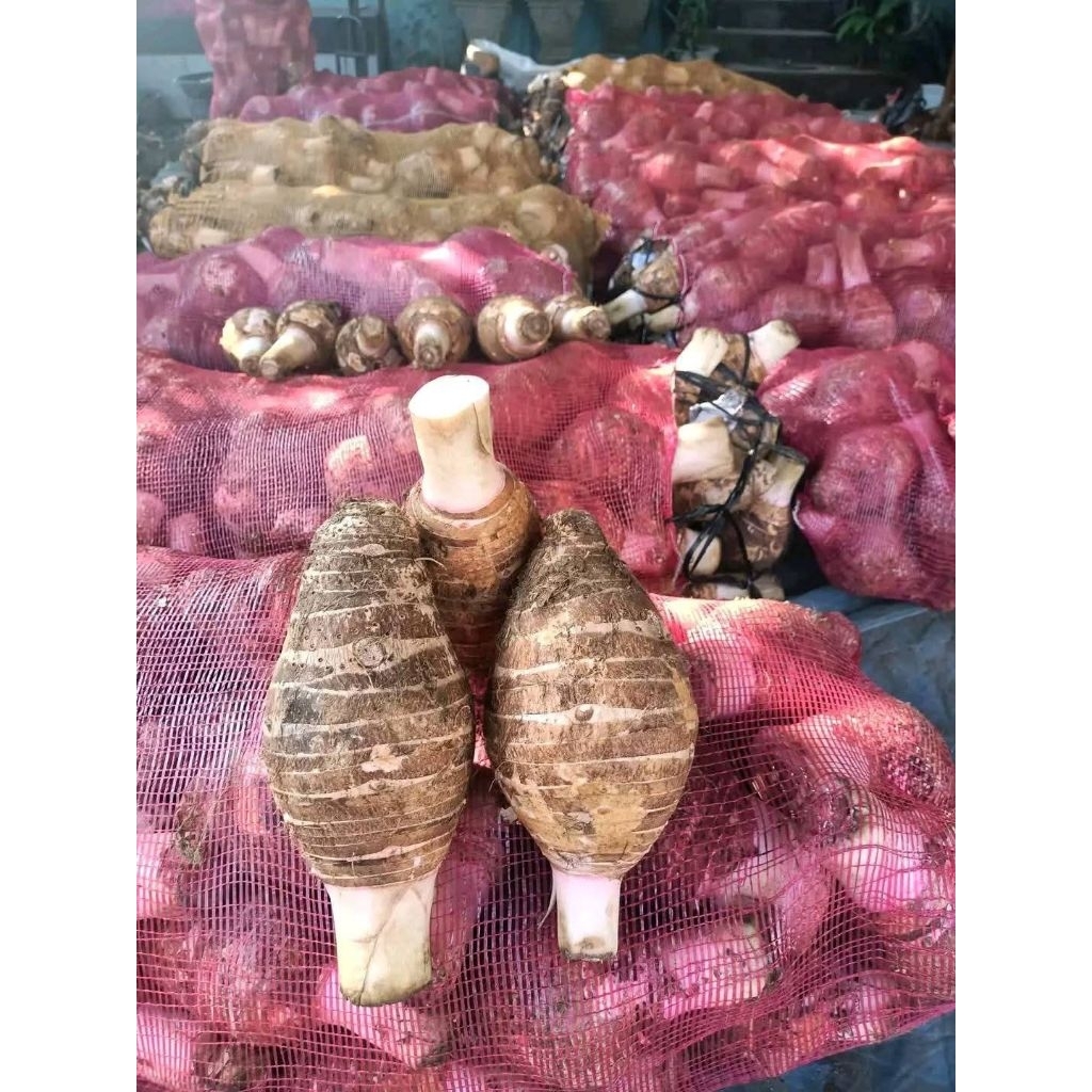 talas Bogor mentah 1kg