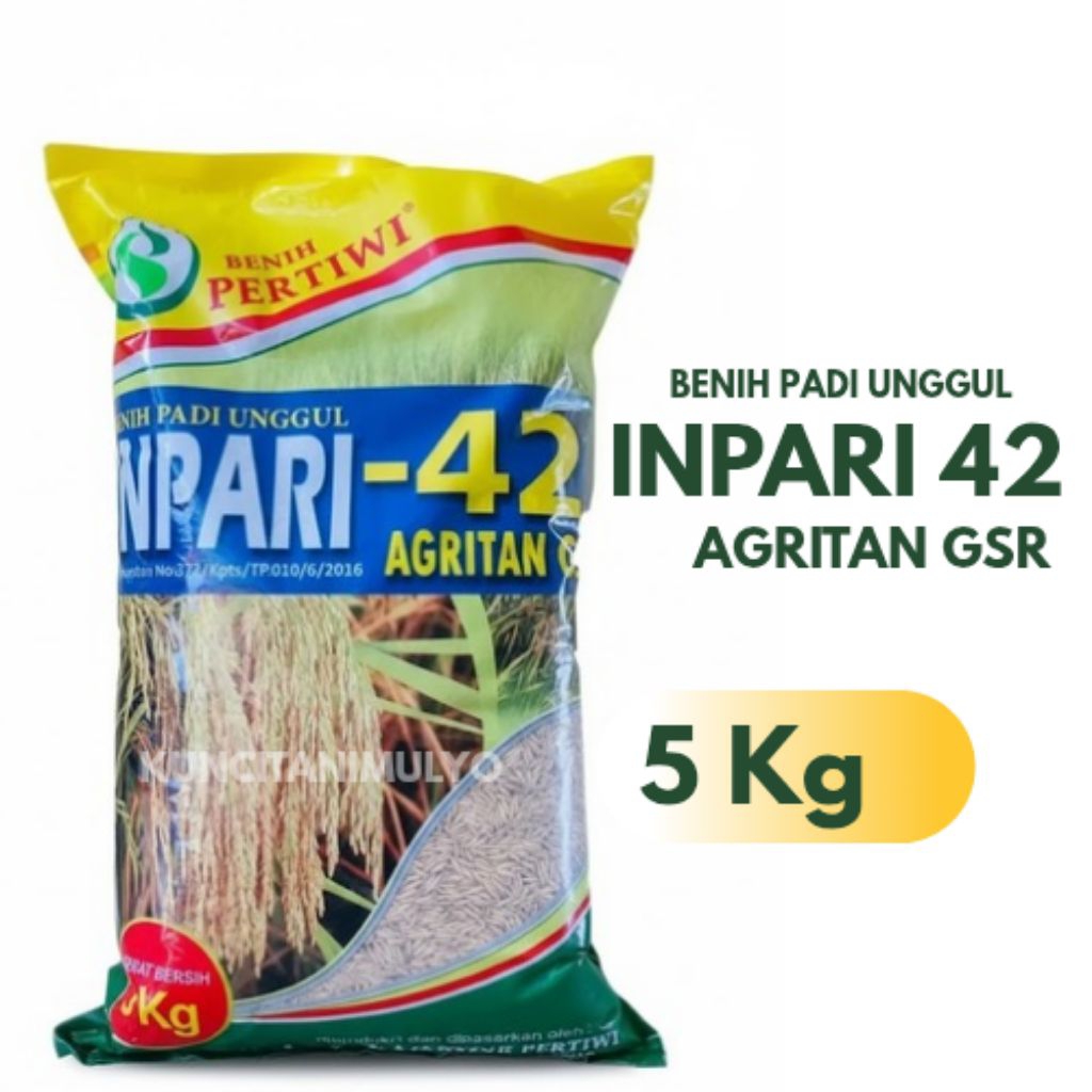 Benih Padi INPARI-42 AGRITAN GSR Dari Benih Pertiwi (5 Kg)
