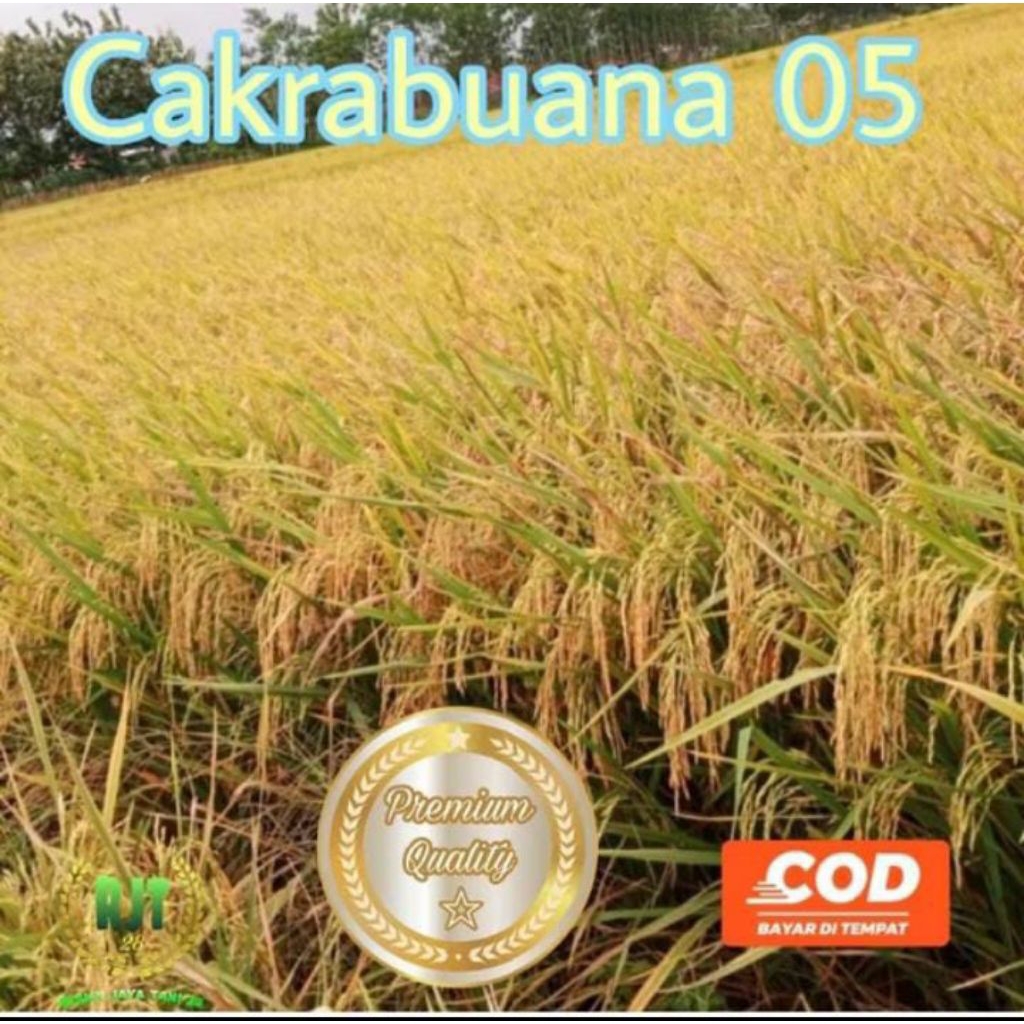 Benih padi CAKRABUANA 05 kemasan 5 kg
