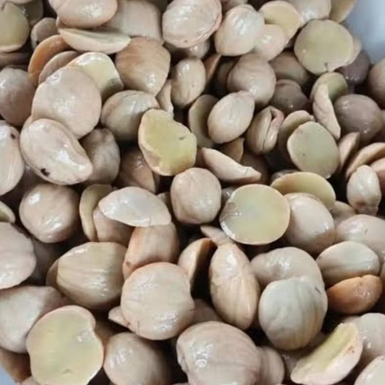 Jengkol rebus full tua berat 500gram/jengkol rebus/jengkol mateng/jengkol godok