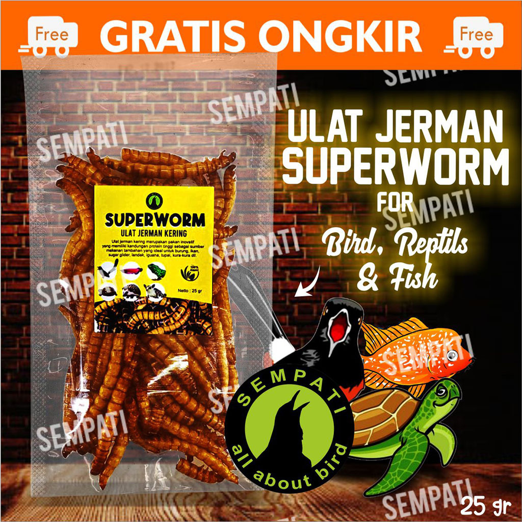SEMPATI Superworm Super Worm Ulat Jerman Kering Pakan Extra Fooding EF Burung Murai Kacer Cendet Mak
