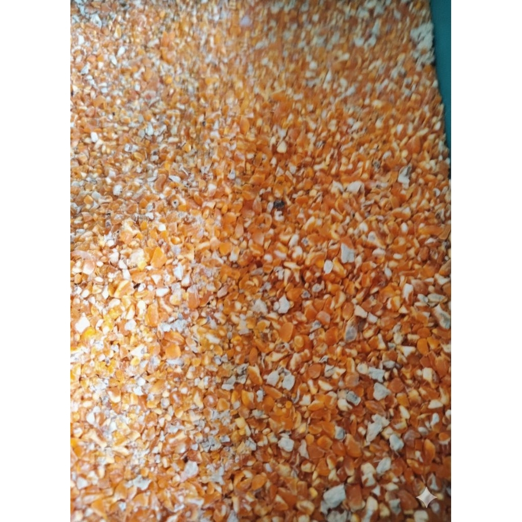 Jagung giling 1kg - beras jagung - menir jagung - jagung selip