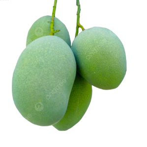 BUAH MANGGA MADU 1 KG SEGAR