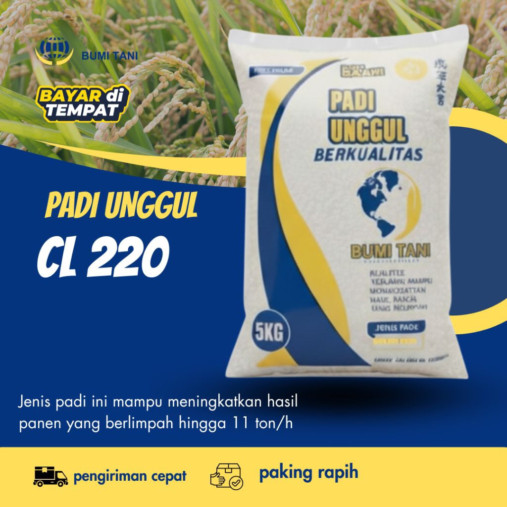 Benih Padi Unggul CL 220 kemasan 5 kg