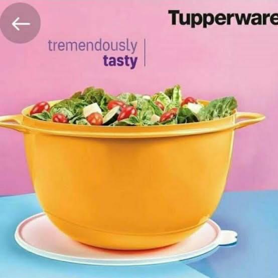 That's Bowl 14L Wadah Super Besar Orange Tupperware 14 Liter Diameter 34.3 cm Tinggi 21.3 cm