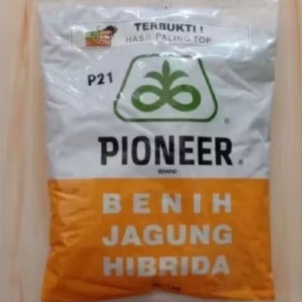 BENIH JAGUNG HIBRIDA PIONEER P21 KEMASAN 1KG