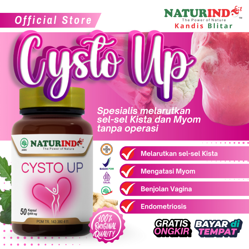 CYSTO UP - OBAT KISTA MIOM TANPA OPERASI KISTA OVARIUM BARTHOLIN ENDOMETRIOSIS HERBAL ORI NATURINDO