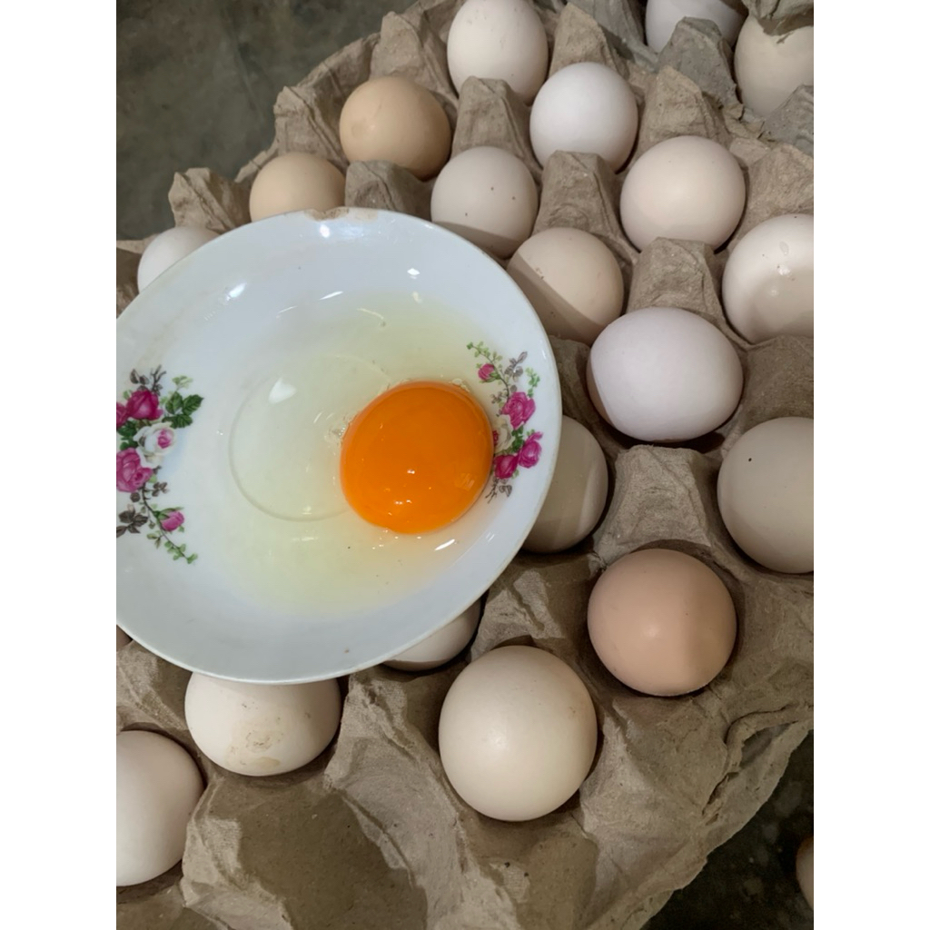 Telur Omega Arab / Telur Omega Ayam Kampung / Telur MPASI