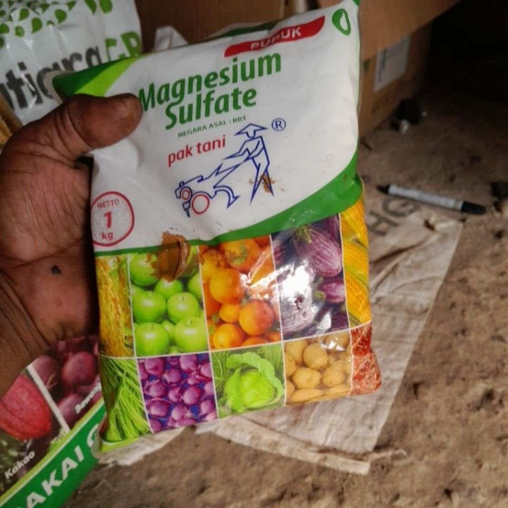 Pupuk magnesium sulfate