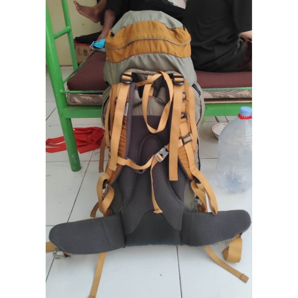 cerier Consina terabbi 60 liter