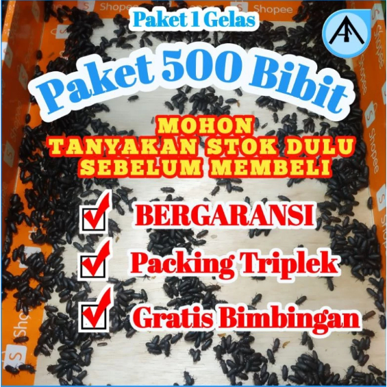 KEPIK ULAT HONGKONG (BERGARANSI)