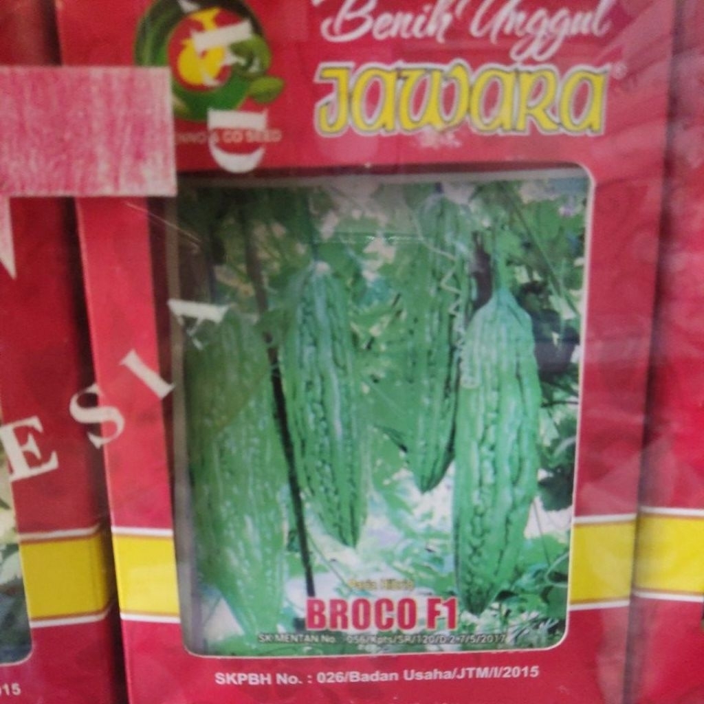 JAWARA_(Kecil)4-10GR