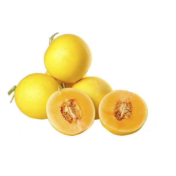 SUBUR BIBIT MELON GOLDEN