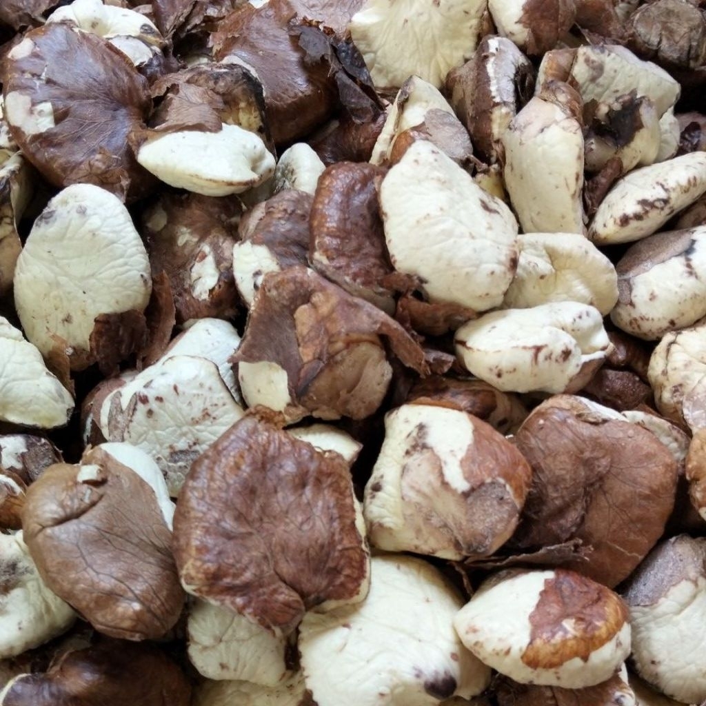 Gayam kupas fresh ½kg super