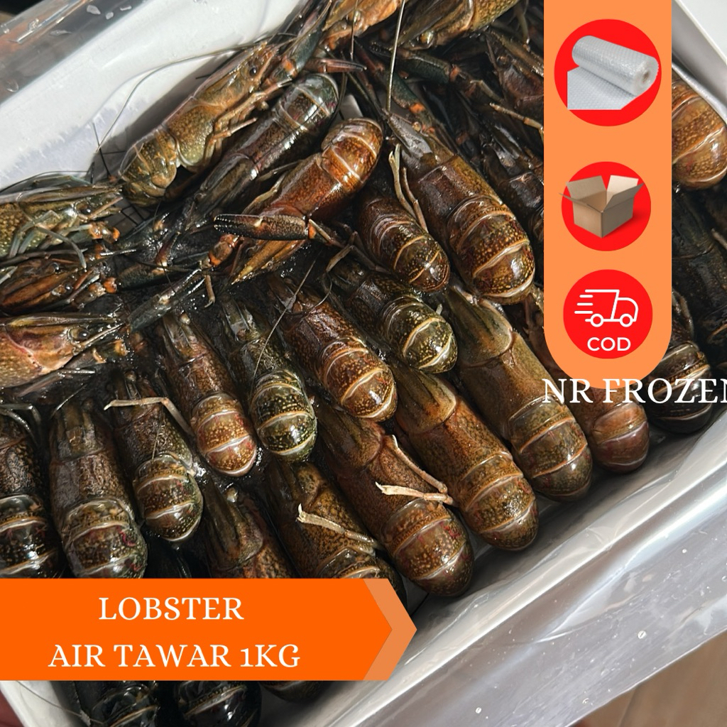 UDANG LOBSTER AIR TAWAR 1KG