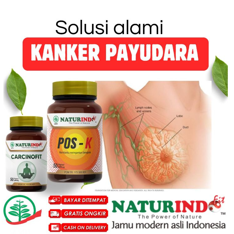 Obat Gusi Bengkak Halal POS K Naturindo HerbalObat Herbal Kanker Benjolan Kanker Payudara Tumor Pali