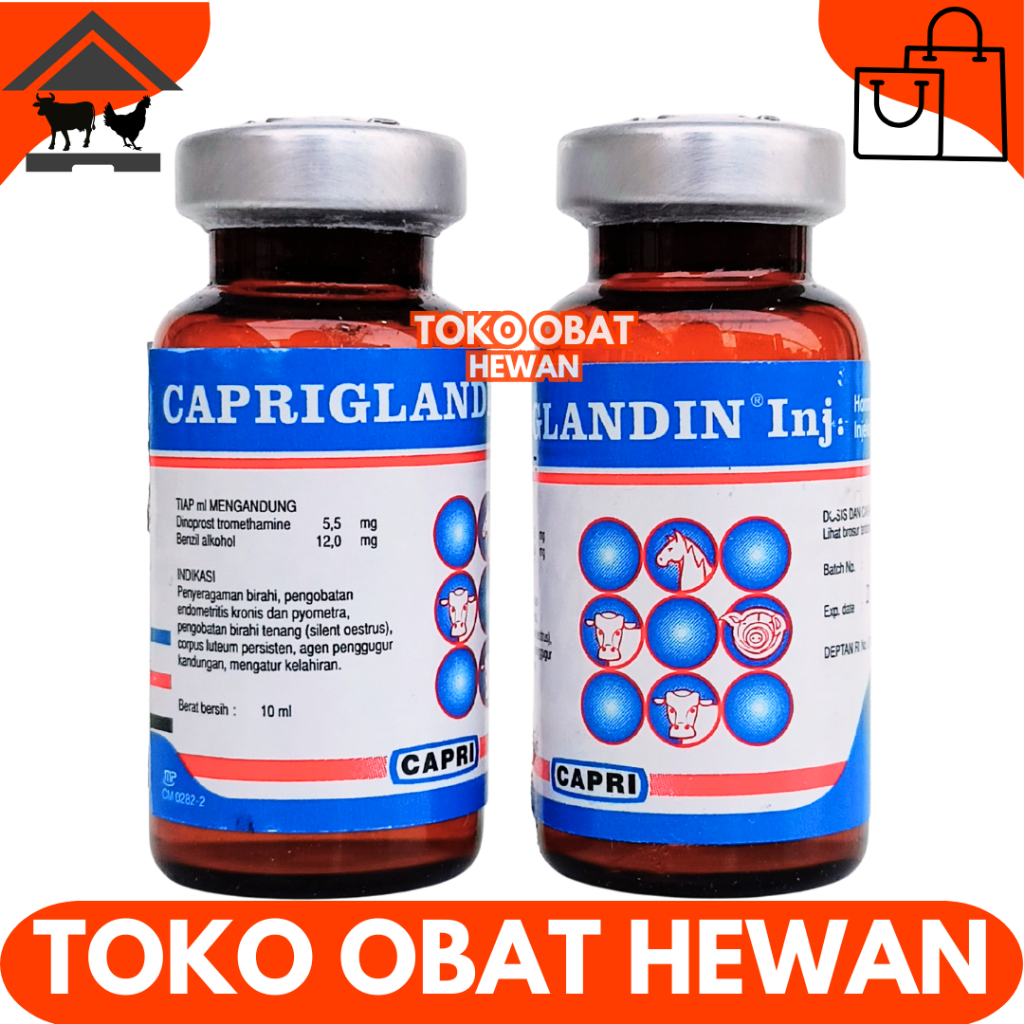 CAPRIGLANDIN INJ 10ML - Hormon Sinkronisasi Estrus Sapi Kambing Domba Kuda Babi