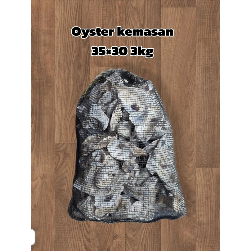 oyster shell kulit kerang cangkang tiram media filter kolam ikan koi
