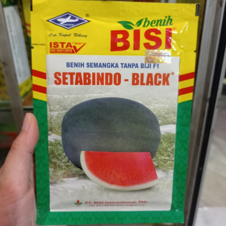 Benih Semangka Setabindo Black Non Biji Kemasan 20gr
