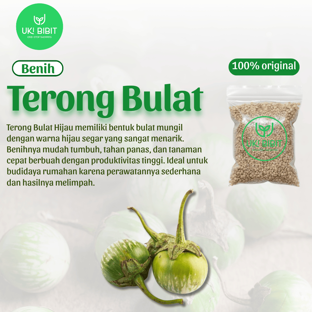 ( 10 Butir ) Benih Biji Terong Bulat Hijau | Terong Lalap | Terong Hijau Bulat