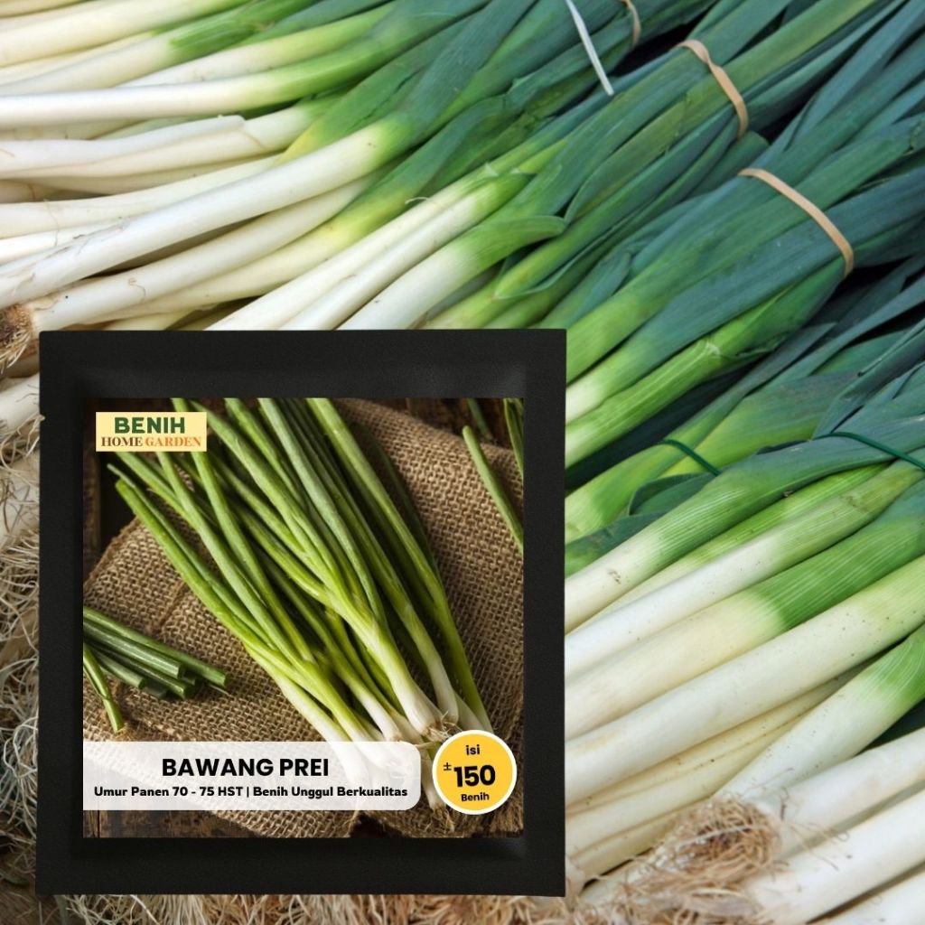 Benih Bawang Prei Unggul 150 Biji Kualitas Premium Cepat Tumbuh & Siap Tanam Benih Home Garden